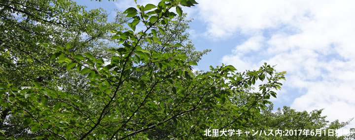 KOBALからの風景