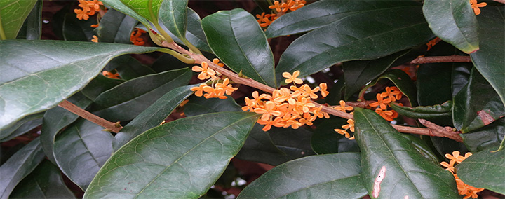 KOBALからの風景