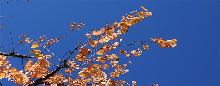 KOBALからの風景