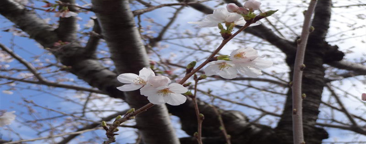 KOBALからの風景