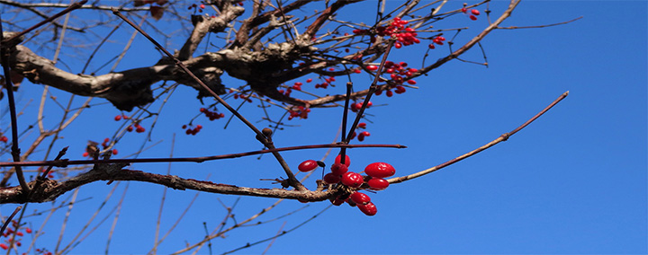KOBALからの風景