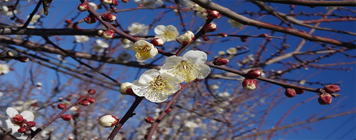 KOBALからの風景